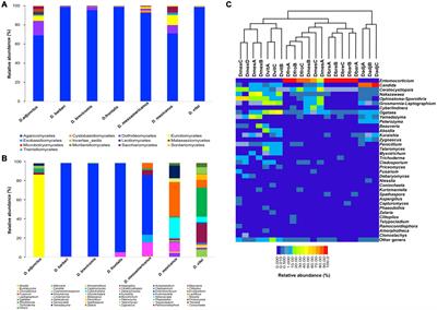 Metabarcoding of mycetangia from the Dendroctonus frontalis species complex (Curculionidae: Scolytinae) reveals diverse and functionally redundant fungal assemblages